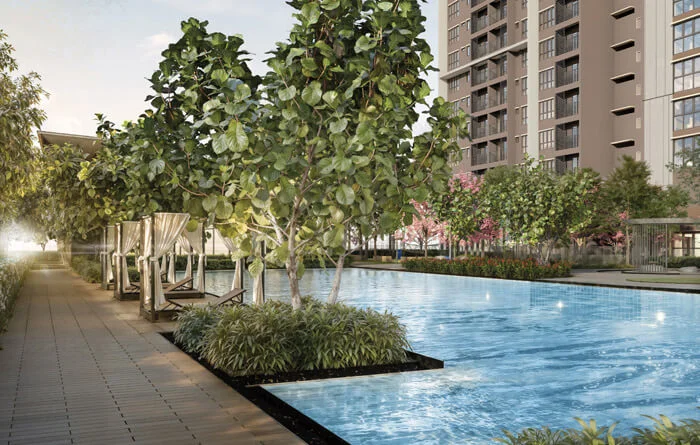 M Aspira pool